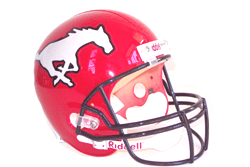 CALGARY STAMPEDERS